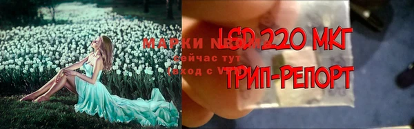 спайс Богданович