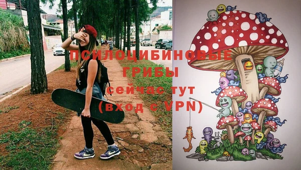 спайс Богданович