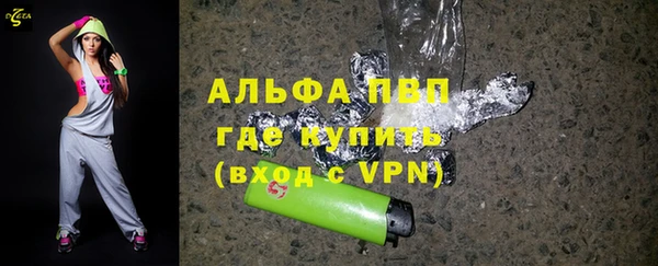спайс Богданович