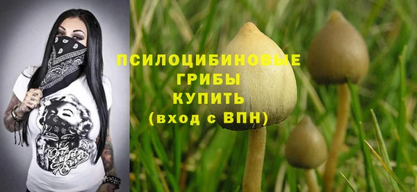 мескалин Богородицк