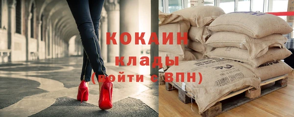 сатива Белоозёрский